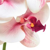 Product Orchid Phalaenopsis artificial 9 flowers white fuchsia 96cm