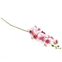Product Orchid Phalaenopsis artificial 9 flowers white fuchsia 96cm