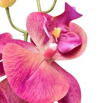 Product Artificial Orchid Phalaenopsis Orchid Fuchsia 78cm