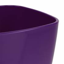 Product Orchid pot, glossy, Ø12.5cm, violet