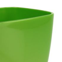 Orchid pot glossy Ø12.5cm lime, 1p