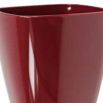 Product Orchid pot glossy Ø12.5cm Bordeaux 1 pc