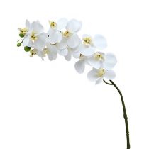 Product Orchid branch white L58cm