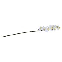 Product Orchid branch white L58cm