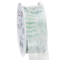 Product Organza ribbon, chiffon ribbon, leafy branches, green, 40mm, 15m