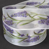 Product Organza ribbon, chiffon ribbon, decorative ribbon, lavender, 40mm, 20m