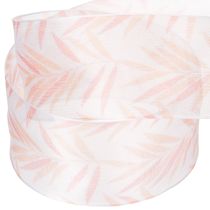 Product Organza ribbon, chiffon ribbon, jungle orange, 40mm, 15m