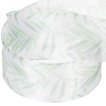 Product Organza ribbon, chiffon ribbon, green plant ribbon, 40mm x 15m