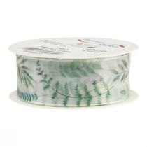 Product Organza ribbon chiffon ribbon leaves branches green 40mm 15m