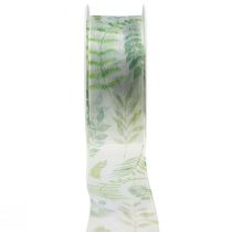 Product Organza ribbon chiffon ribbon green leaf tendrils 40mm 15m