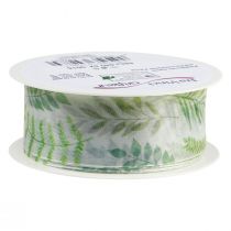 Product Organza ribbon chiffon ribbon green leaf tendrils 40mm 15m