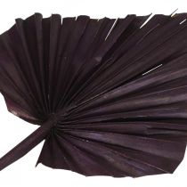 Product Palmspear Mix Pink Berry, White Washed Memorial Floristry 65 pcs