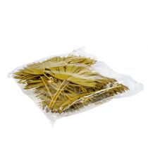 Product Palmspear Sun mini Yellow 50 pcs