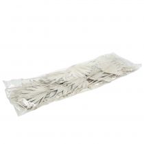 Product Palmspear Sun mini whitewashed 50 pcs