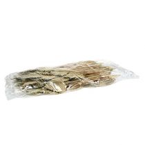 Product Palmspear mini natural 100 pieces