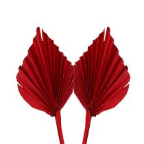 Product Palm spear mini red 100p