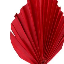Product Palm spear mini red 100p