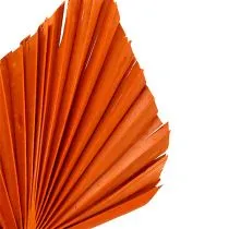 Product Palmspear Orange 65 pcs