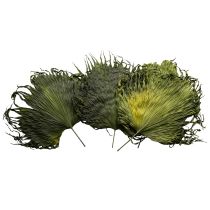 Product Palm frond decoration for exotic arrangements and table decorations, 5 pieces