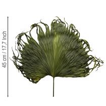 Product Palm frond decoration for exotic arrangements and table decoration