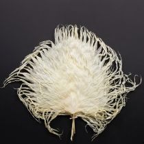 Product Palm fronds dried decorative leaves bleached 45cm 5 pcs