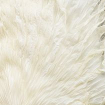 Product Palm fronds dried decorative leaves bleached 45cm 5 pcs