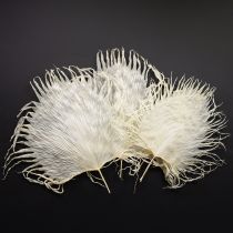 Product Palm fronds dried decorative leaves bleached 45cm 5 pcs