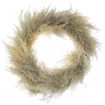 Pampas grass dried door wreath dried flower wreath Ø31cm