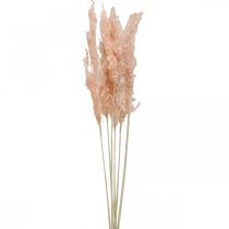 Product Pink Pampas Grass Dried Flowers Natural Decoration 65-75cm 6 pcs