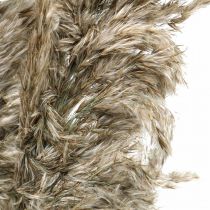 Dried pampas grass natural for drying bouquet 70-75cm 6pcs