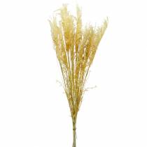 Product Pampas grass yellow Artificial ornamental grass Dry floristry 3pcs