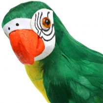 Decorative parrot green 44cm