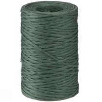 Product Paper Wire Binding Wire Green Paper Binding Wire 0.4mm 205m