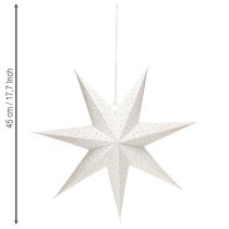 Product Paper stars for lighting up festive Christmas decorations