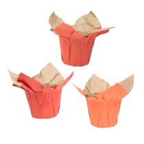 Paper pot planter orange / red Ø8cm 12pcs