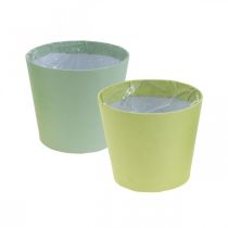 Paper pot, mini plant pot, cachepot blue/green Ø9cm H7.5cm 4pcs