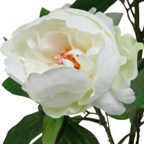 Artificial Paeonia, peony in a pot, decorative plant white flowers H57cm