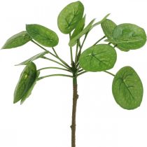 Peperomia Artificial green plant with leaves 30cm