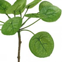 Peperomia Artificial green plant with leaves 30cm