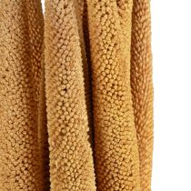 Product Elegant millet spray decoration for flower arrangements