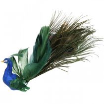 Bird of paradise, peacock to clamp, feather bird, bird decoration blue, green, colorful H8.5 L29cm