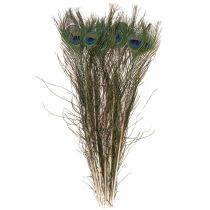 Product Peacock feathers, real bird feathers for crafting and decorating, 55cm, 10 pieces