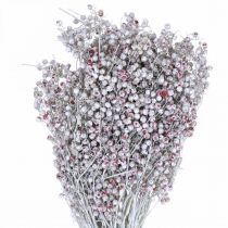 Snowed pepper berries, winter decoration, dried flowers, Advent, pink pepper washed white 170g