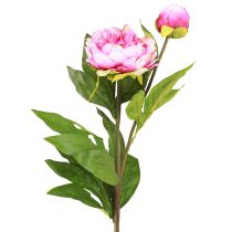 Product Peonies Long-stemmed artificial flowers pink 70cm 3pcs