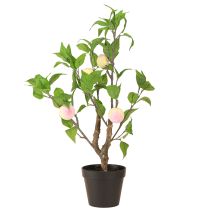 Product Artificial peach tree with 4 fruits, decorative, H53cm