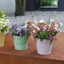 Plant bucket, metal pot with handles, decorative planter for planting pink/green/yellow shabby chic Ø12cm H10cm set of 3