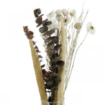 Product Bouquet of dried flowers with eucalyptus white DIY box H30-35cm