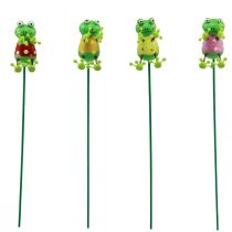 Product Plant plugs frogs decorative flower plugs 24cm 16pcs