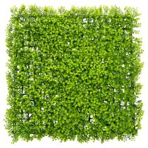 Product Artificial boxwood plant mat 55x55 cm for decorative wall design