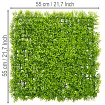 Product Artificial boxwood plant mat 55x55 cm for decorative wall design